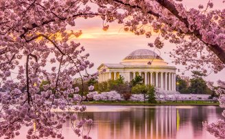 Washington, DC at the Tidal Basin and Jefferson Memorial during the spring cherry blossom season