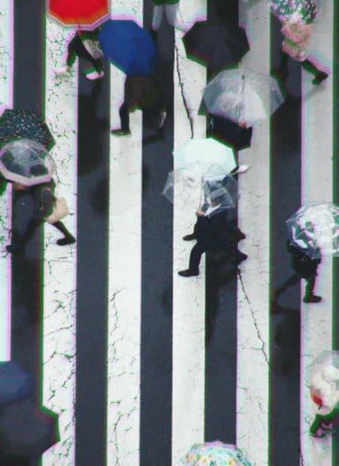 tokyo zebra crossing 