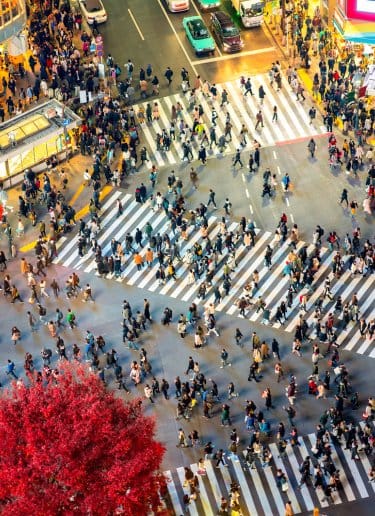 A crowd of people cross a vibrant street in Tokyo