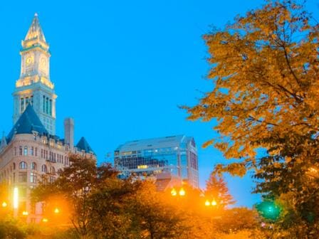 Leafy autumnal trees in the Rose Kennedy Greenway, Boston
