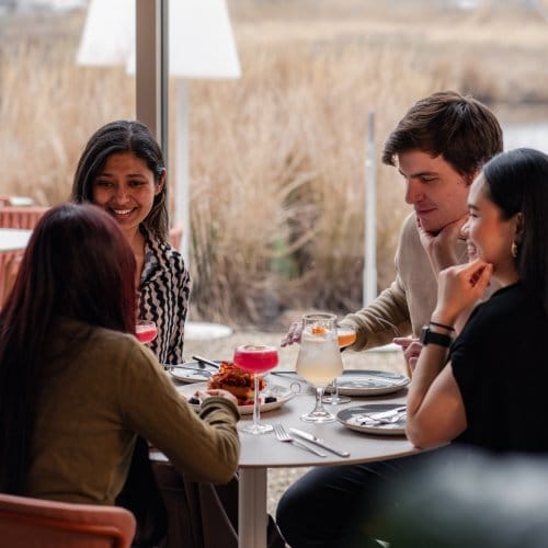 Four friends enjoy a meal in a bright and airy restaurant 