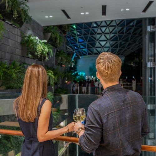 A couple toast wine as they admire the view
