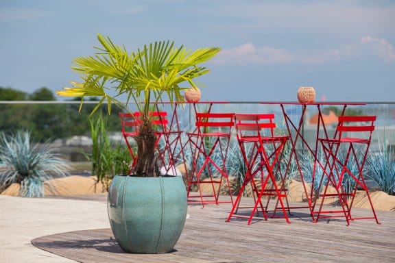Red tables and chairs on rooftop with plant in foreground