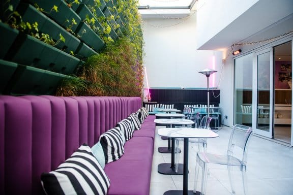 Lounge area with green wall and purple seating