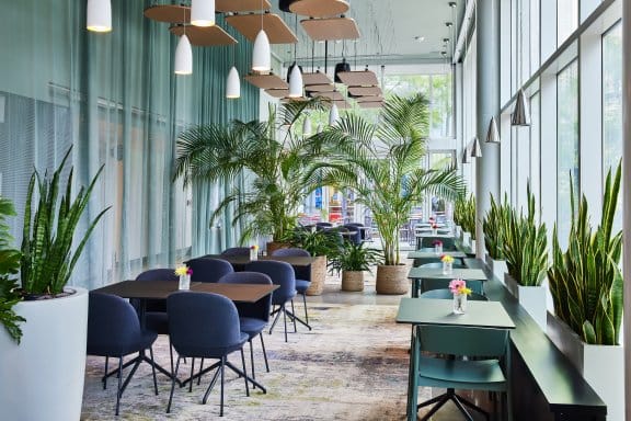 A large, well lit leafy restaurant