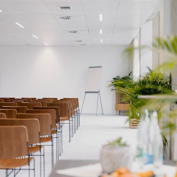 A bright and leafy auditorium with a flatscreen television