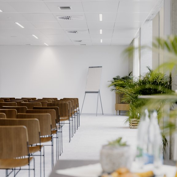 A clean and leafy meeting room