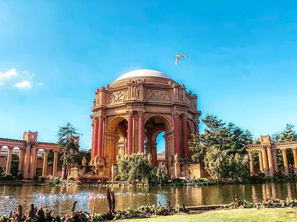 Beautiful Garden in San Francisco
