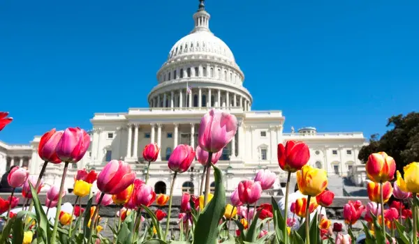 WDC Capitol Building